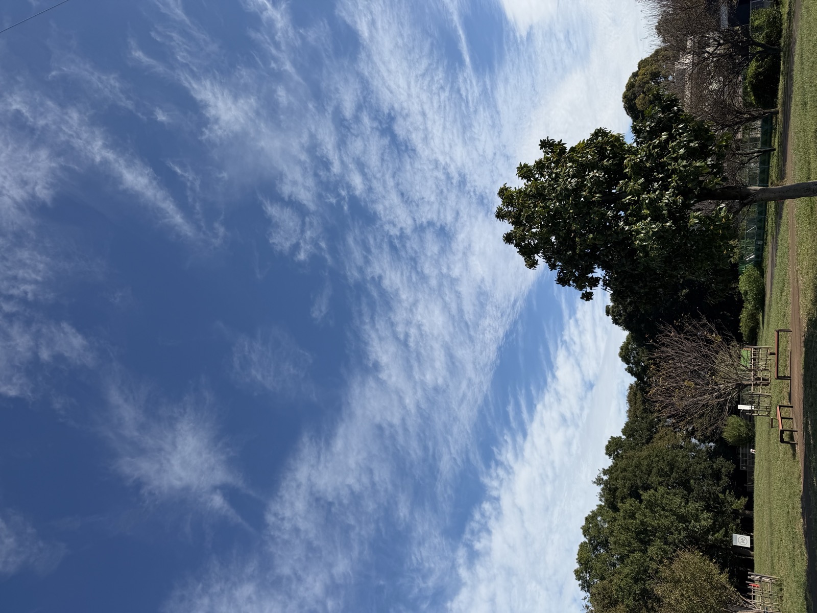 訪問の途中に見上げた秋の青空と雲